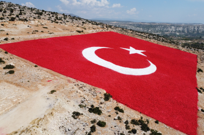 Toros Dağları'nın Mut ilçesi eteklerine 21 bin 600 metrekarelik dev Türk bayrağı işlendi.