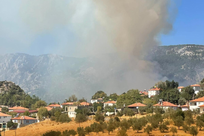 Muğla'da orman yangını