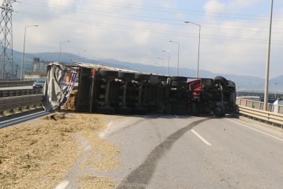 Sürücüsünün arı sokan TIR, devrildi