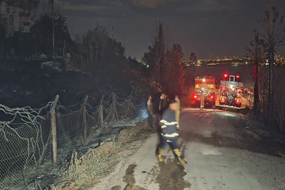 Adana'da Seyhan Baraj Gölü kıyısındaki ağaçlıkta yangın