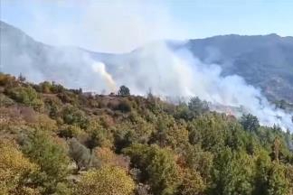 Tarım arazisindeki yangın büyümeden söndürüldü