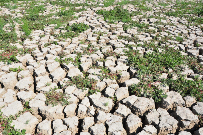 Marmara Gölü'ndeki tarımsal üretim ile ilgili davada karar duruşması