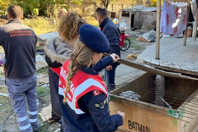 Yasaklı ırk köpek besleyen kişiye 317 bin 544 lira ceza