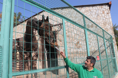 Türkiye’nin en büyük hayvanat bahçesinde kış hazırlığı