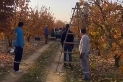 Ulu Önder Bursa'da anıldı; mevsimlik işçiler tarlada saygı duruşunda bulundu