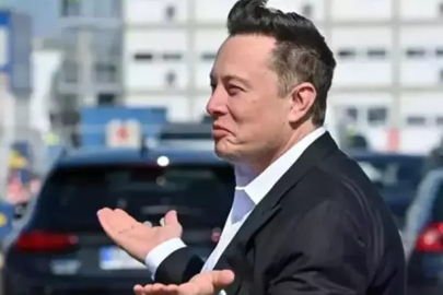 Almanya'dan Musk'a 'AfD' eleştirisi