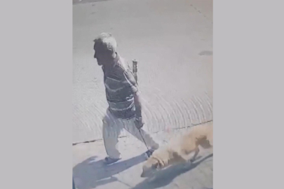 Bakırköy'de köpeğe istismar davasında karar: 1 yıl 6 ay hapis cezası