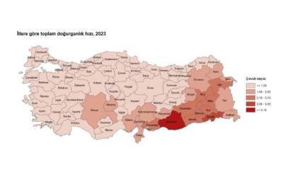 10 il, nüfusunu yenileme yeterliliğine sahip