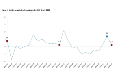 TÜİK Sanayi Üretiminin Ocakta Yıllık Yüzde 1,2 Arttığını, Aylık İse Yüzde 2,3 Azaldığını Açıkladı