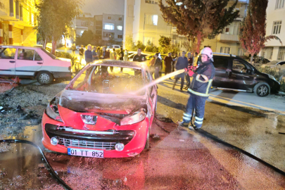 'Psikolojim bozuk' dedi; Annesinin otomobilini kundakladı